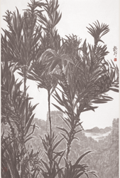 张龙新艺
术网